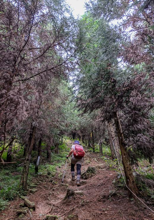 Komperdell登山杖實測,一件登山時的好裝備