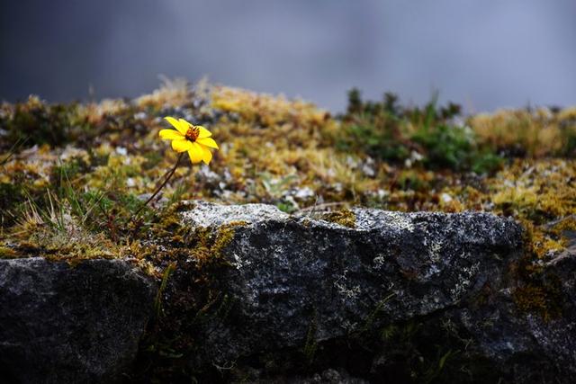 秘魯印加文明朝圣之路,走過四日三夜經典印加古道到馬丘比丘