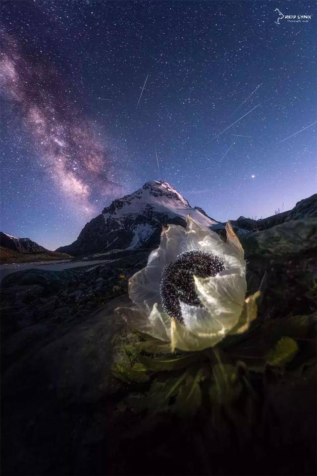 博格達大環線,要來新疆旅游這份頂級徒步路線攻略一定要看