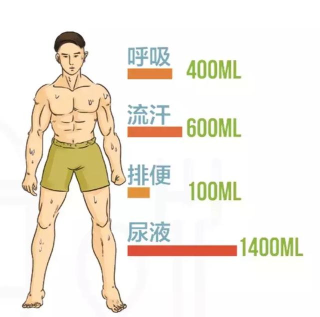 烈日酷暑的夏天去登山,如何避免熱疲勞?