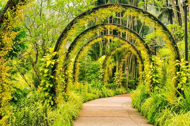 新加坡旅游詳細攻略,來一場說走就走的自助旅行