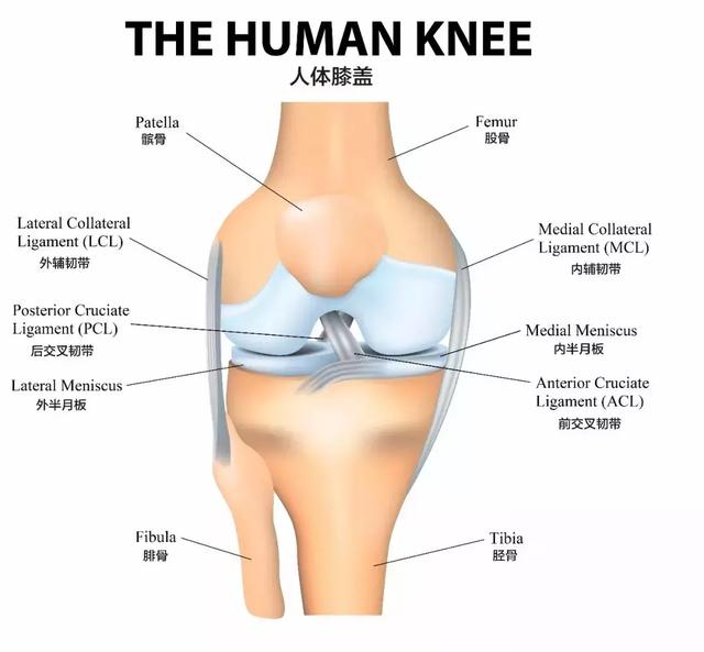 戶外爬山一定需要護膝嗎？戶外運動護膝到底有用嗎？