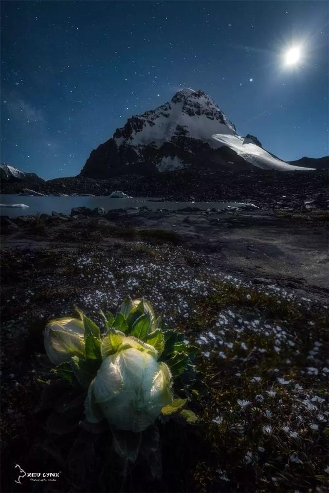 博格達大環線,要來新疆旅游這份頂級徒步路線攻略一定要看