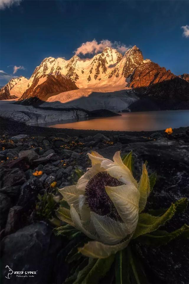 博格達大環線,要來新疆旅游這份頂級徒步路線攻略一定要看