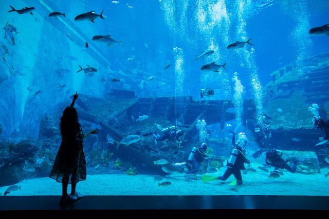 新加坡旅游詳細攻略,來一場說走就走的自助旅行