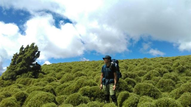 且行且珍惜,美國運動護具品牌LP護膝評測