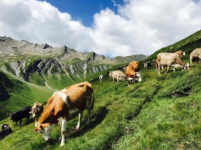 環游世界,從這10條徒步旅行線路開始