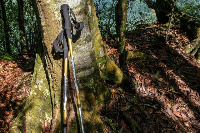 Komperdell登山杖實測,一件登山時的好裝備