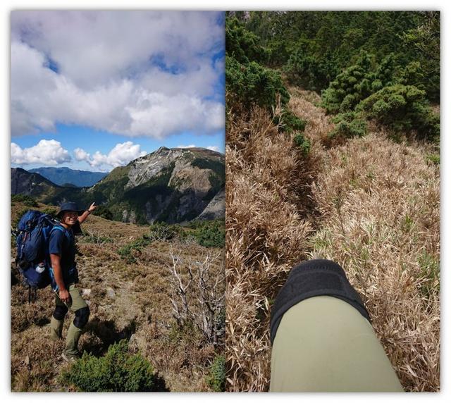 且行且珍惜,美國運動護具品牌LP護膝評測