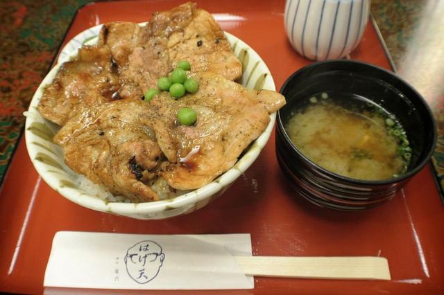 日本北海道去哪玩,北海道自助旅行旅游攻略