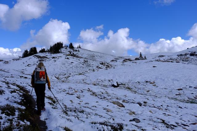 英國戴適(DexShell)防水襪實測,雨天的最后一道防線
