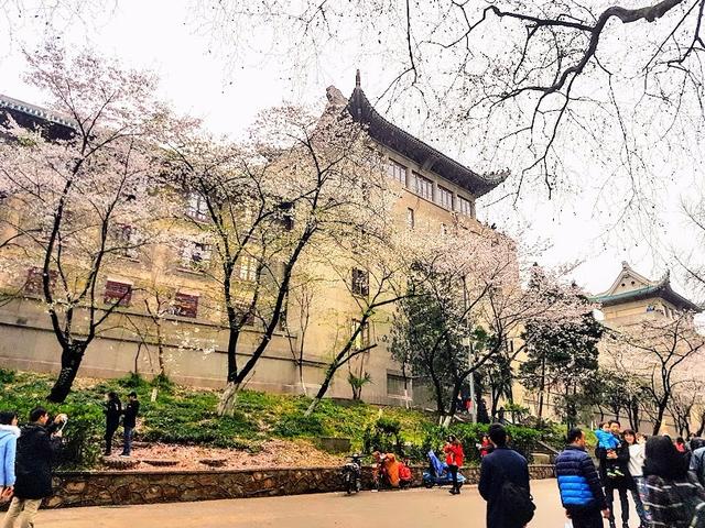 去武漢旅游,第一次的武漢自助旅行(自由行)攻略