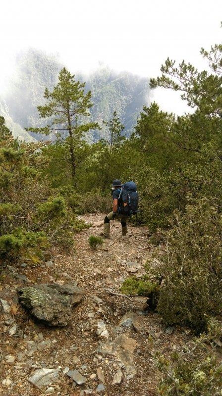 且行且珍惜,美國運動護具品牌LP護膝評測