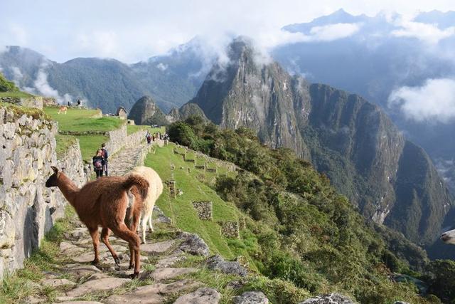 秘魯印加文明朝圣之路,走過四日三夜經典印加古道到馬丘比丘