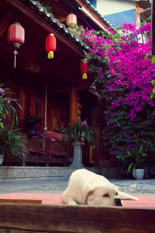 實用的云南自助游攻略，大理/麗江/香格里拉/昆明/德欽交通攻略