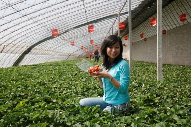 大連去哪玩?第一次的大連自助旅行（自由行）旅游攻略