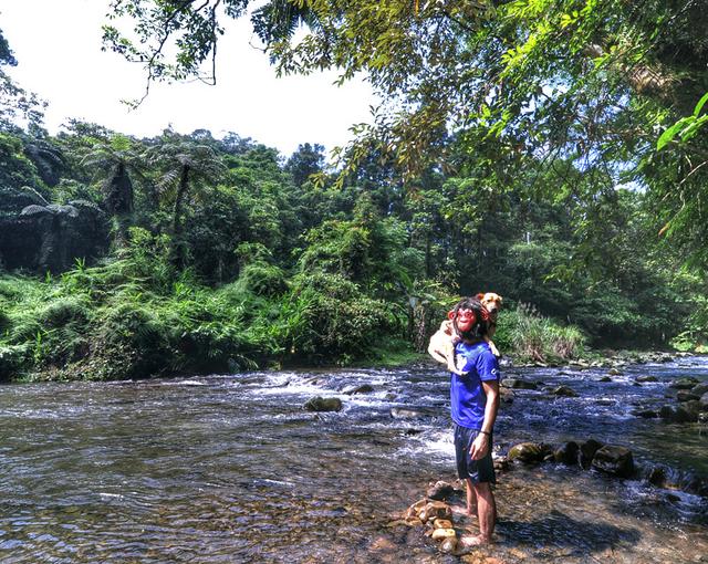 夏日戶外活動,讓你的狗狗好好享受這個安全又快樂的戶外生活