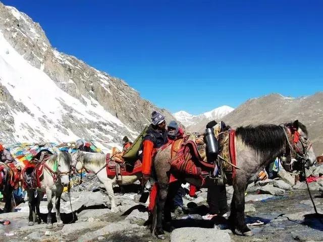 西藏阿里,神山岡仁波齊轉山攻略
