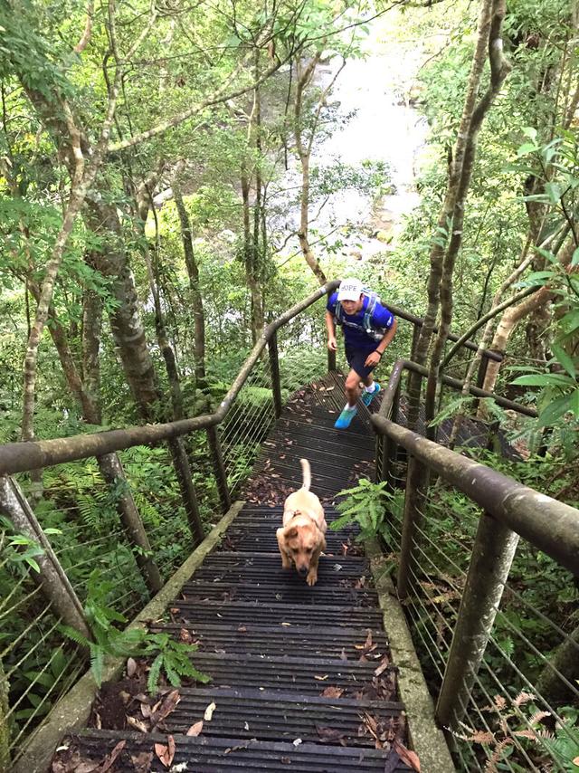 夏日戶外活動,讓你的狗狗好好享受這個安全又快樂的戶外生活