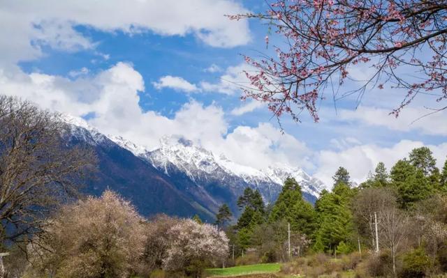 自駕游去哪玩?這7條國內自駕線路每條都是一路美景