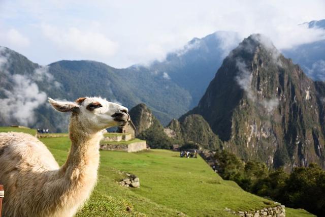 秘魯印加文明朝圣之路,走過四日三夜經典印加古道到馬丘比丘