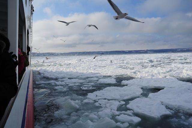日本北海道去哪玩,北海道自助旅行旅游攻略
