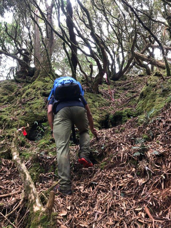 新款猛犸象Mammut背包裝備開箱測評,感受人包合一的背負體驗