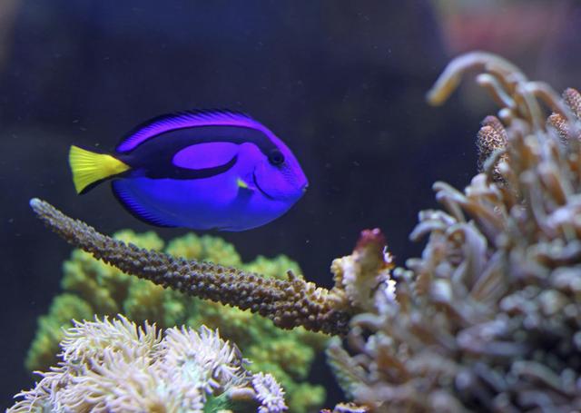 埃及旅游攻略,埃及11大必去旅游景點和8天行程推薦