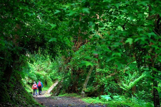 擺脫戶外服飾的土氣,這一件The North Face速干襯衫十分超值