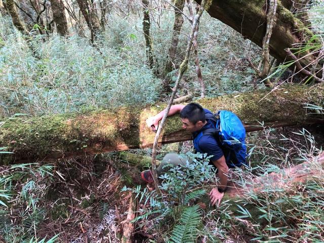 新款猛犸象Mammut背包裝備開箱測評,感受人包合一的背負體驗