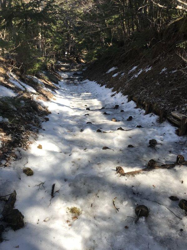 美國LP專業護具,LP Support 170XT護膝開箱實測