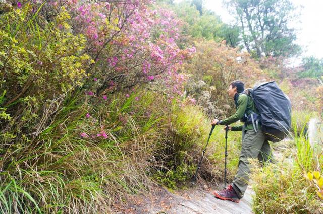 購買戶外登山鞋的新選擇,猛犸象Mammut高幫防水登山鞋測評