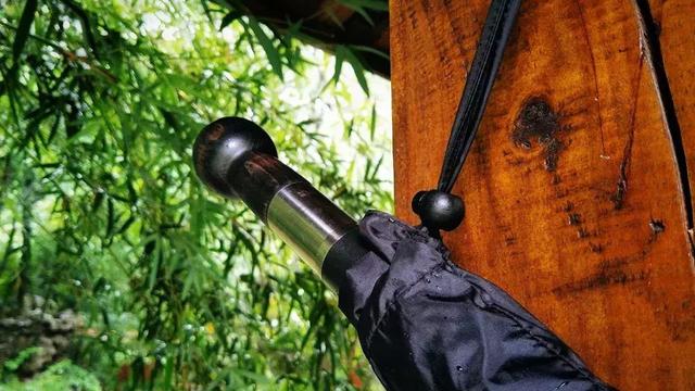 來自德國歐賽姆(EUROSCHIRM) 防身雨傘,荒野探險結實又耐用