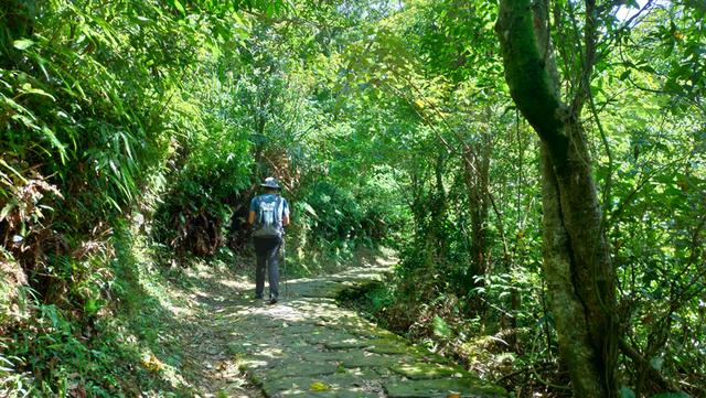 迪卡儂(Decathlon)戶外用品,適合戶外新手的戶外裝備測評體驗