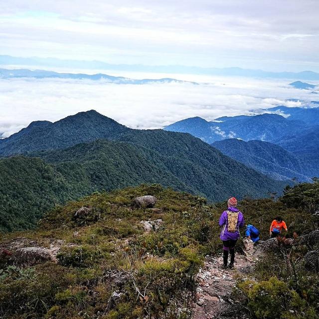 馬來(lái)西亞大漢山國(guó)家公園攻略,探秘?zé)釒в炅置谰? width=
