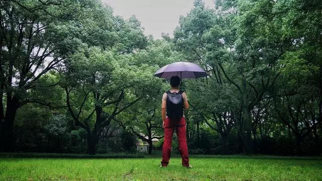 來自德國歐賽姆(EUROSCHIRM) 防身雨傘,荒野探險結實又耐用