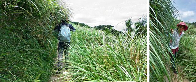 迪卡儂(Decathlon)戶外用品,適合戶外新手的戶外裝備測評體驗