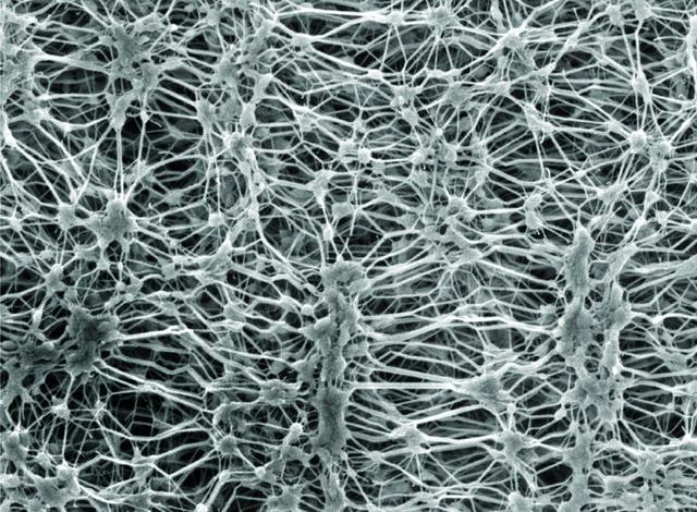 全方位解讀沖鋒衣,看完你就知道怎么買沖鋒衣