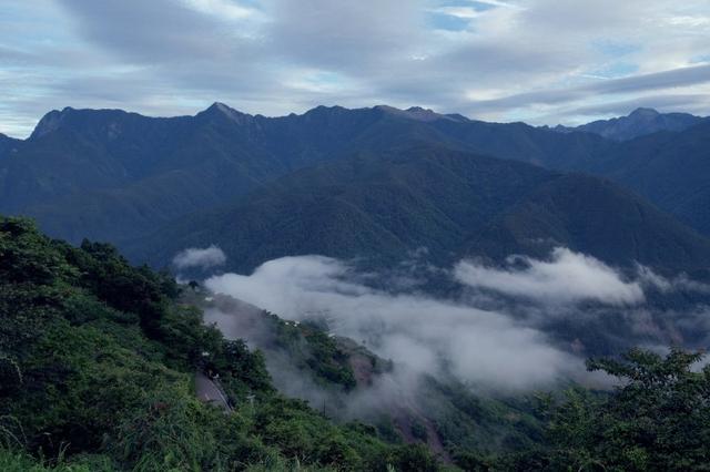 美國LP專業護具,LP Support 170XT護膝開箱實測