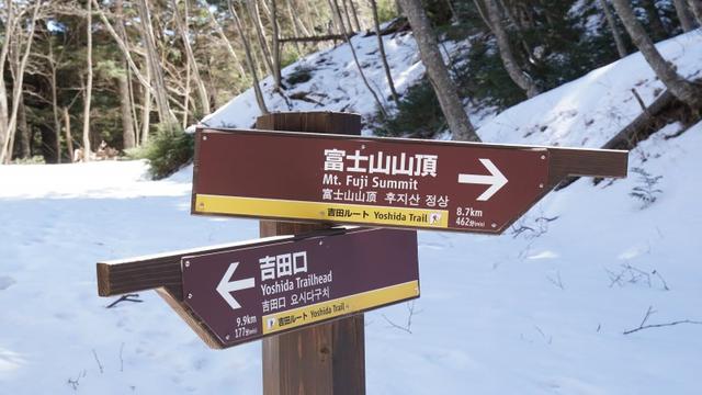 美國LP專業護具,LP Support 170XT護膝開箱實測