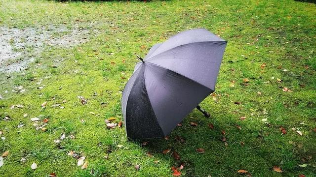 來自德國歐賽姆(EUROSCHIRM) 防身雨傘,荒野探險結實又耐用