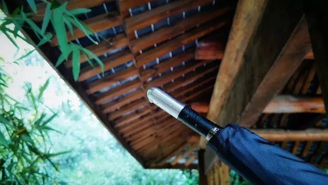 來自德國歐賽姆(EUROSCHIRM) 防身雨傘,荒野探險結實又耐用