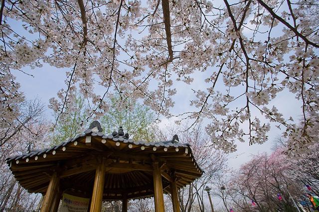 第一次去韓國,到首爾旅游推薦自助旅行攻略