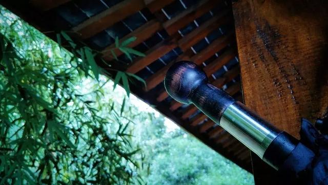 來自德國歐賽姆(EUROSCHIRM) 防身雨傘,荒野探險結實又耐用