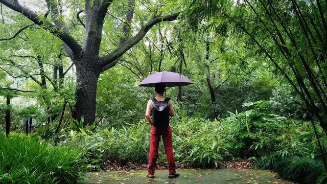 來自德國歐賽姆(EUROSCHIRM) 防身雨傘,荒野探險(xiǎn)結(jié)實(shí)又耐用 來自德國歐賽姆(EUROSCHIRM) 防身雨傘,荒野探險(xiǎn)結(jié)實(shí)又耐用