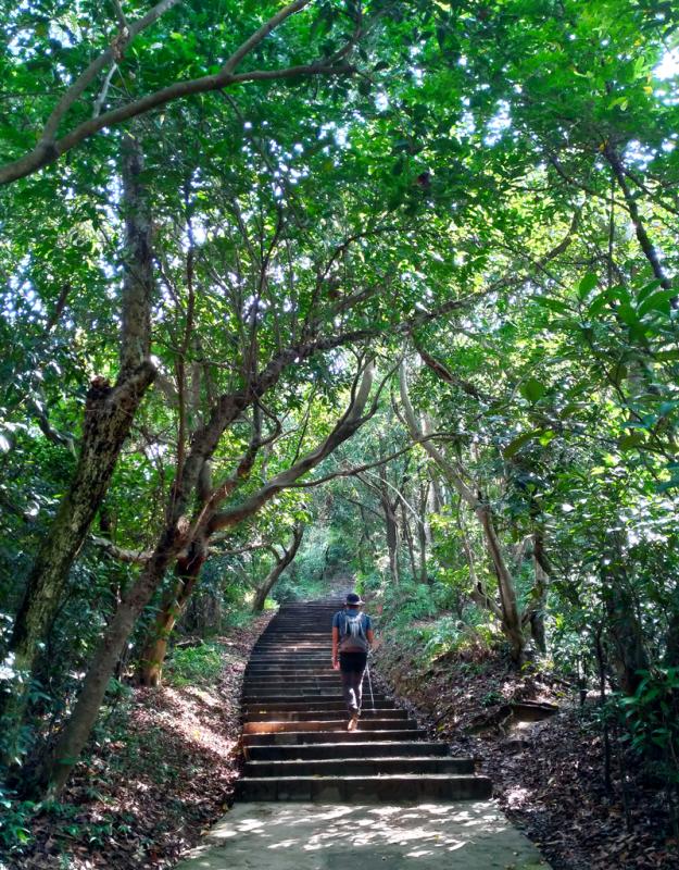 迪卡儂(Decathlon)戶外用品,適合戶外新手的戶外裝備測評體驗