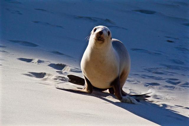去新西蘭旅行攻略,這些戶外旅行路線值得推薦