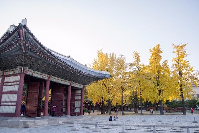 第一次去韓國,到首爾旅游推薦自助旅行攻略