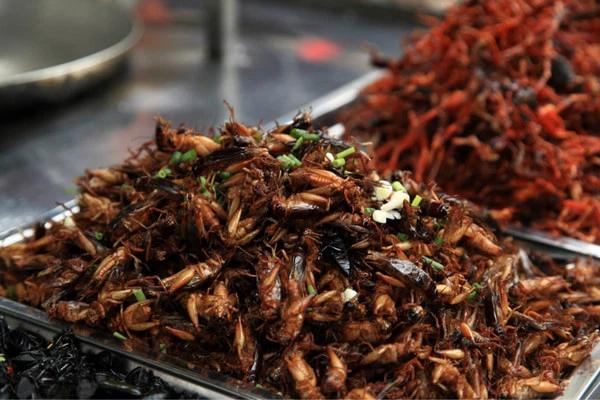 柬埔寨自由行全攻略,去柬埔寨旅游該看這篇攻略就知道了