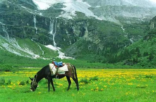 稻城亞丁自由行,稻城亞丁景點3天2夜旅游攻略